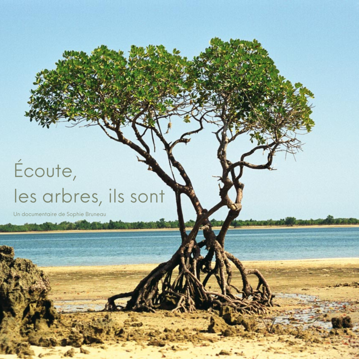 Écoute, les arbres, ils sont episode artwork